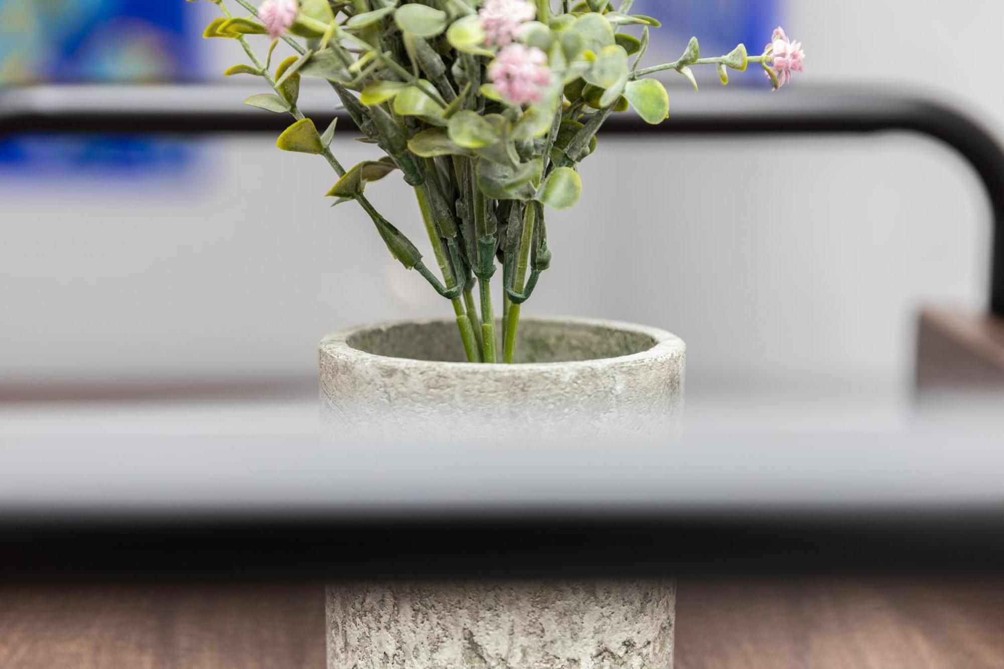 City Apartment Top Location, Quiet And Cozy Ideal To Relax Or Work Wien Ngoại thất bức ảnh